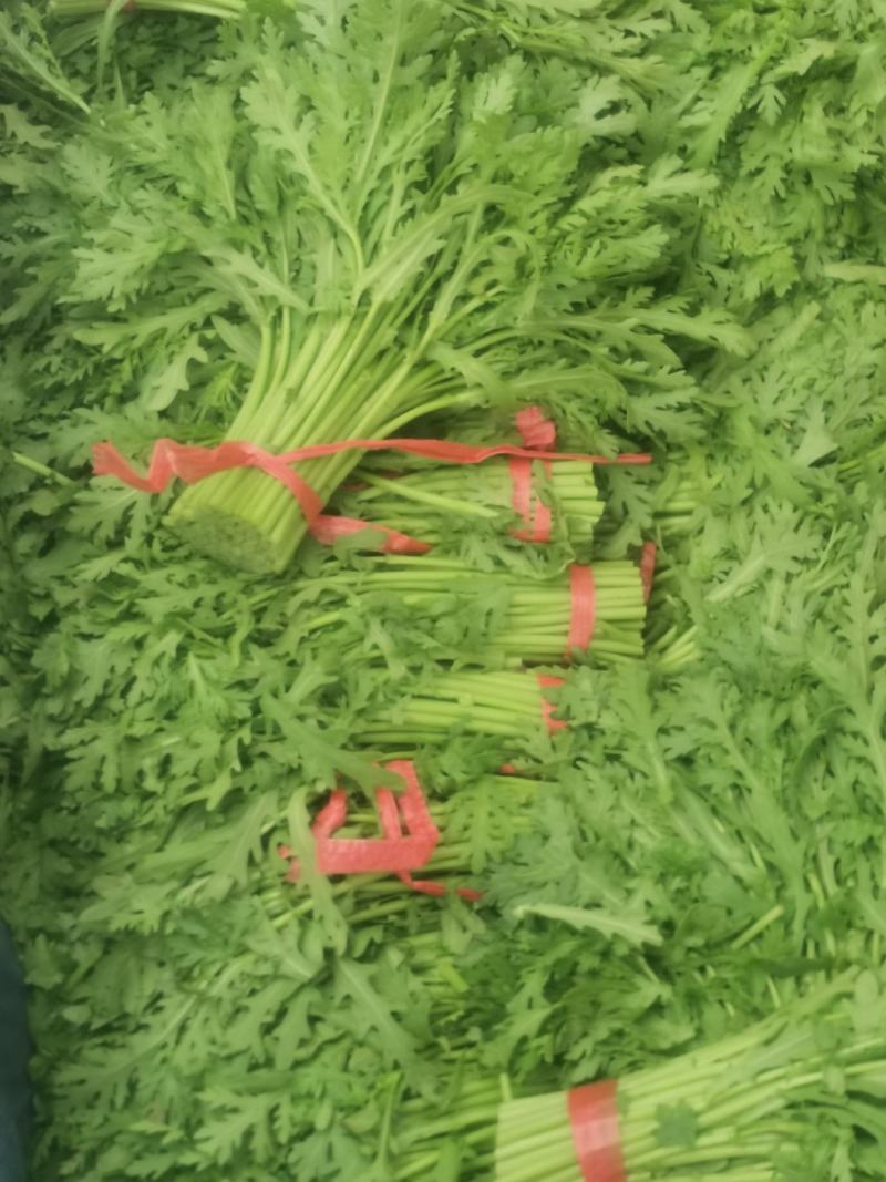 精品茼蒿.产地直发丶代发车一条龙服务。质量有保证。