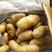 （热销）荷兰十五土豆产区直供，西森,沃土,V7品种齐全。