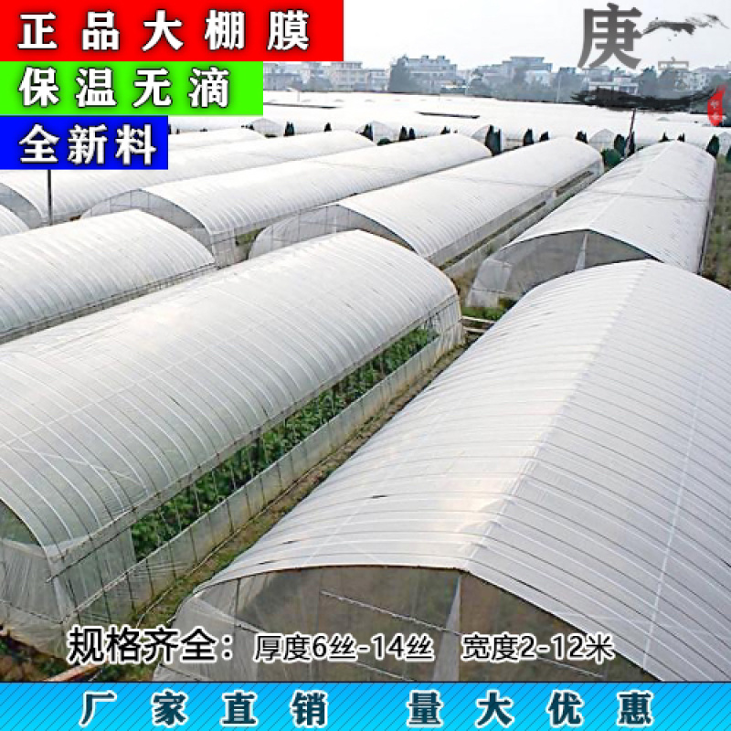 整卷大棚膜小拱棚膜PO无滴膜各种厚度厂家直销价格优惠