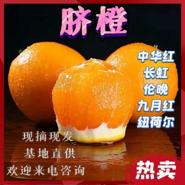 秭归脐橙纽何尔橙个大皮薄口感好农户直销一手货源