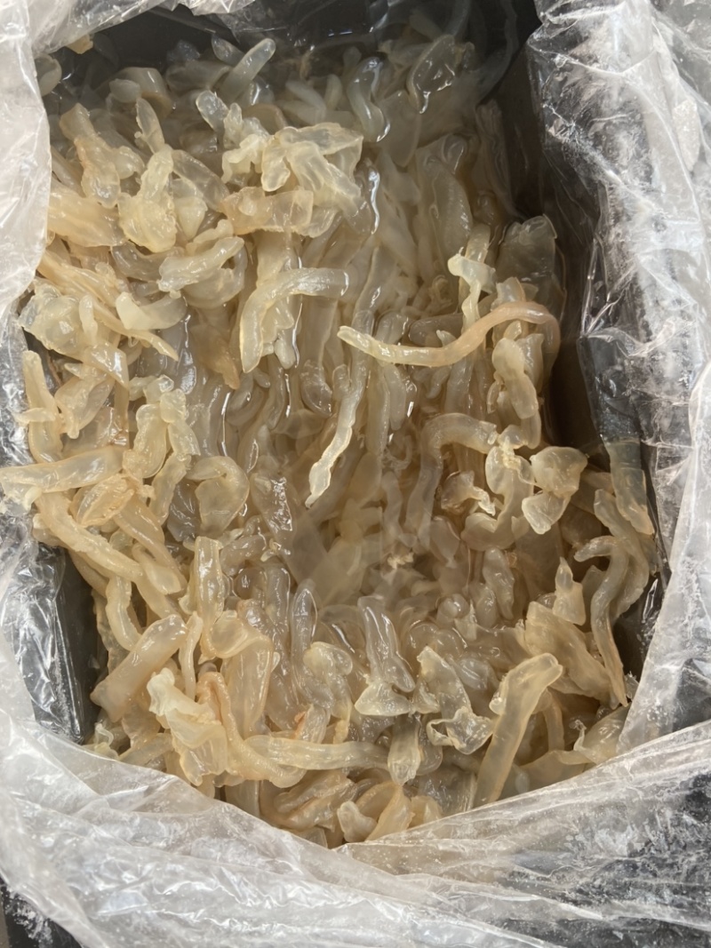 海蜇丝，海蜇头，酒店市场，各种海蜇都有，欢迎骚扰