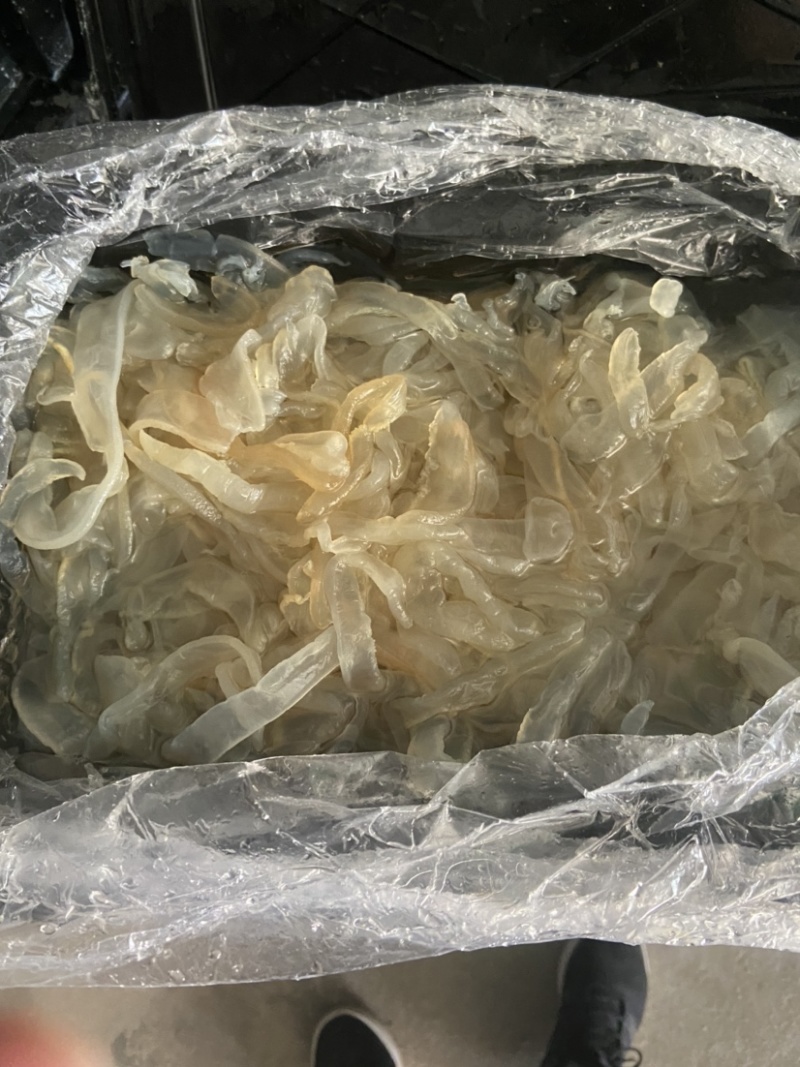 海蜇丝，海蜇头，酒店市场，各种海蜇都有，欢迎骚扰