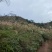 出租山地，低坡岭，200亩150元/亩