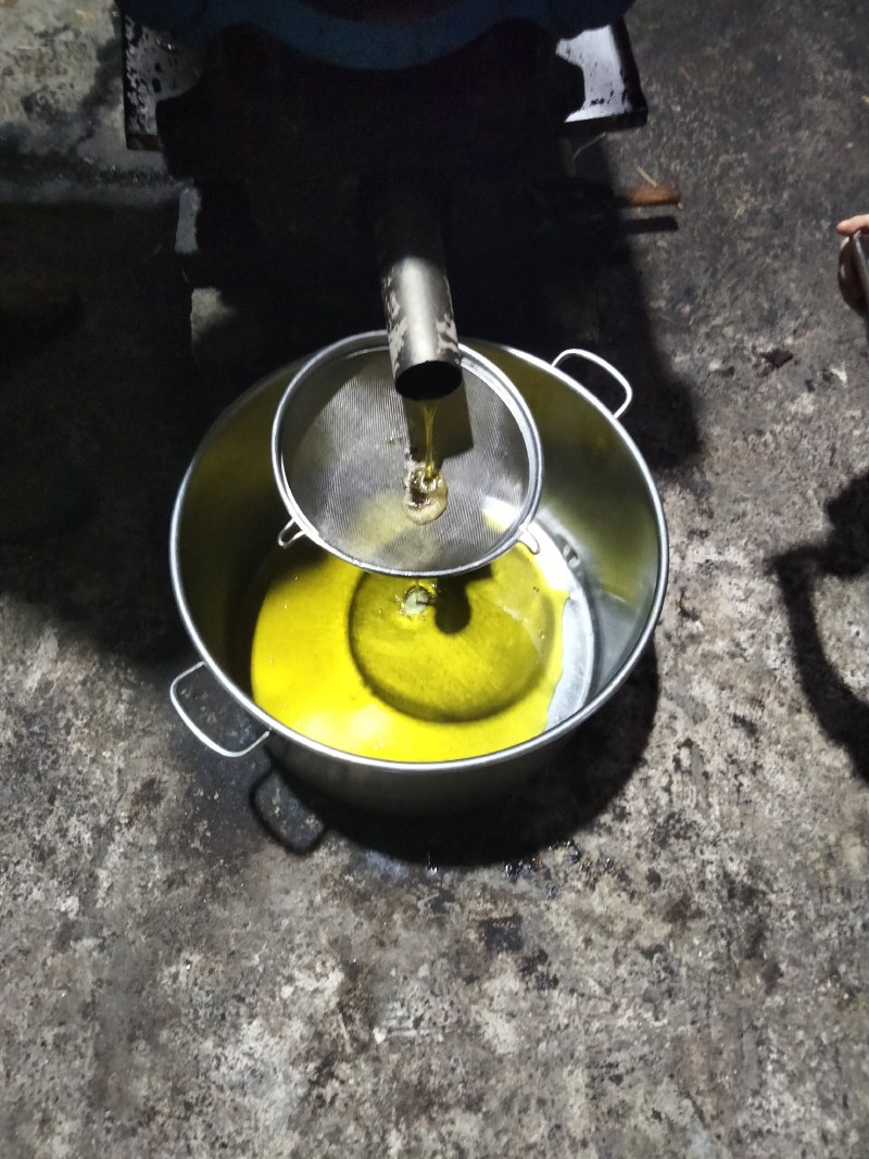 大量油茶籽现货供应，有需要的联系