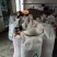 大量油茶籽现货供应，有需要的联系