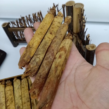 高丽参，无糖红参，独立包装
