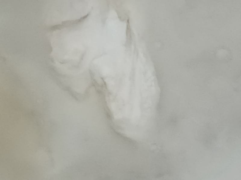 商薯19加工好的.淀粉，毛粉，精粉欢迎您来订购