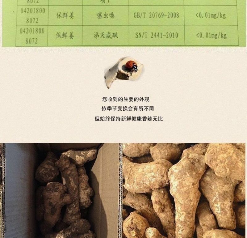 【现挖现发】优质生姜批发老姜老生姜山东大姜10斤2斤5斤