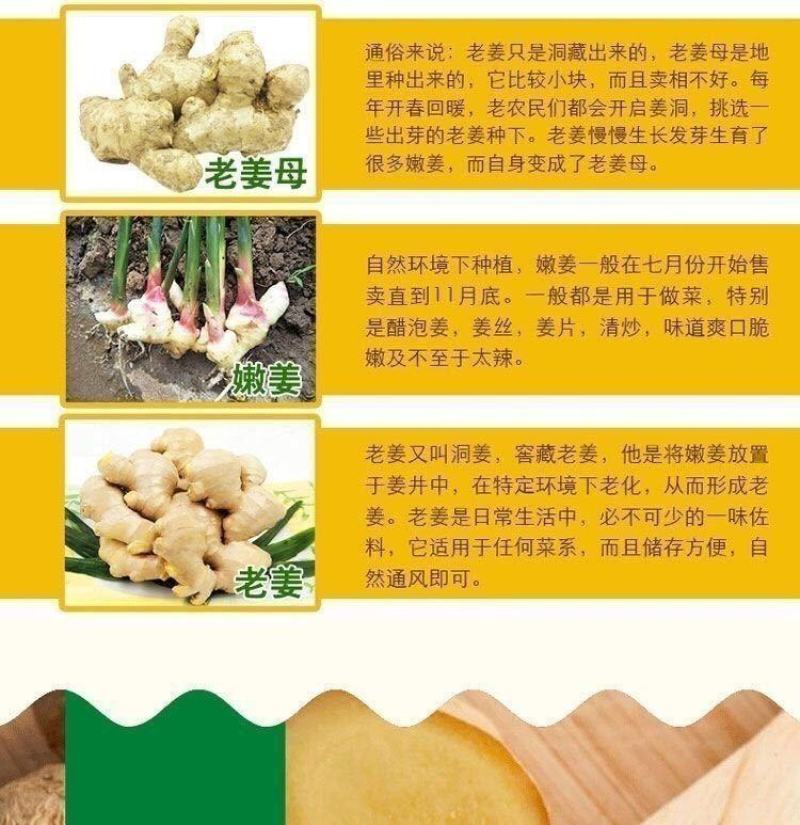 【现挖现发】优质生姜批发老姜老生姜山东大姜10斤2斤5斤