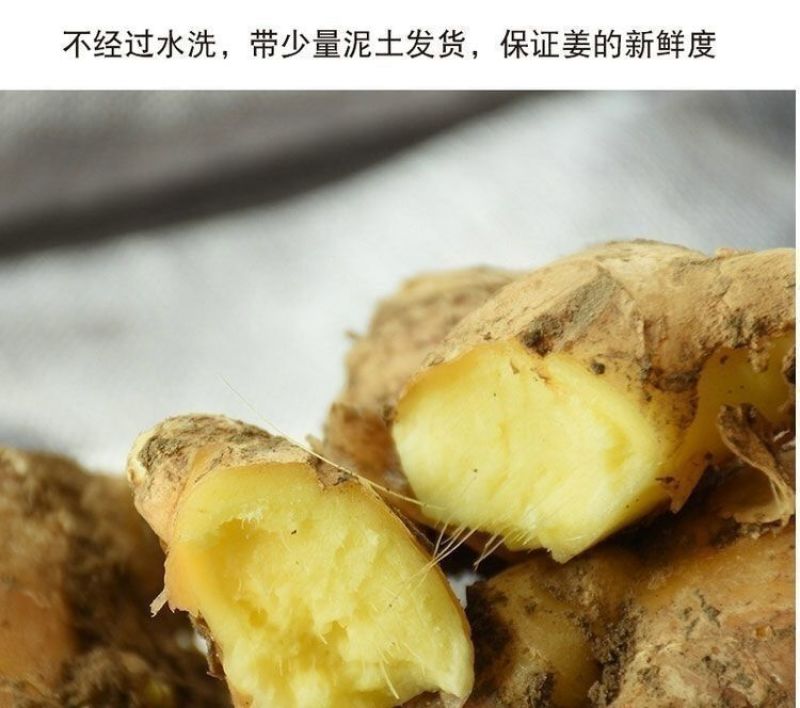 【现挖现发】优质生姜批发老姜老生姜山东大姜10斤2斤5斤