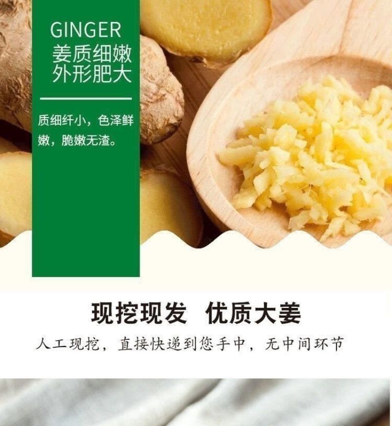 【现挖现发】优质生姜批发老姜老生姜山东大姜10斤2斤5斤