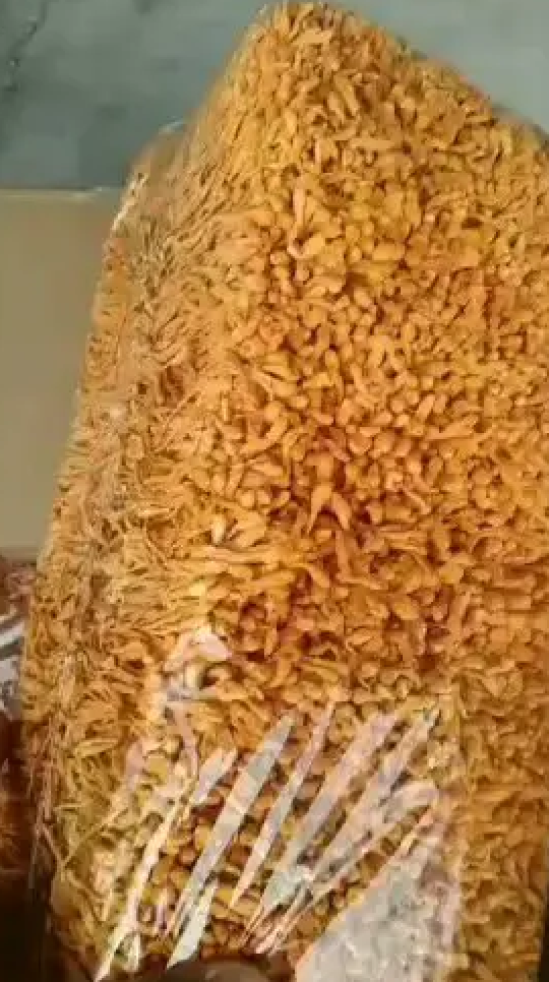 出售干鲜虫草花，有一斤装，三斤装，散装，箱排等包装