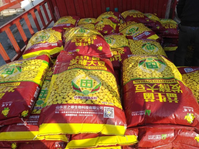 发酵大豆深度发酵富含芳香风味物质，提高品质与产量!