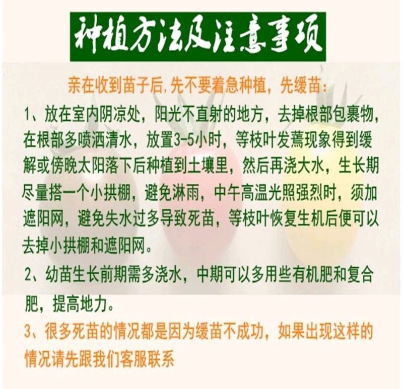 【精品苗】辣椒苗羊角椒苗黄皮羊角椒苗，青皮羊角椒苗