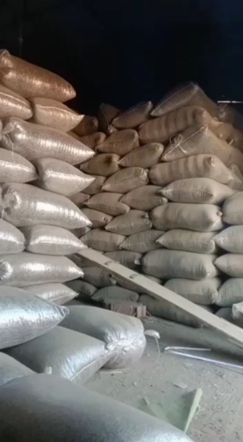普通炒货361千粒210左右，有水锈，皮毛有亮度，无内霉