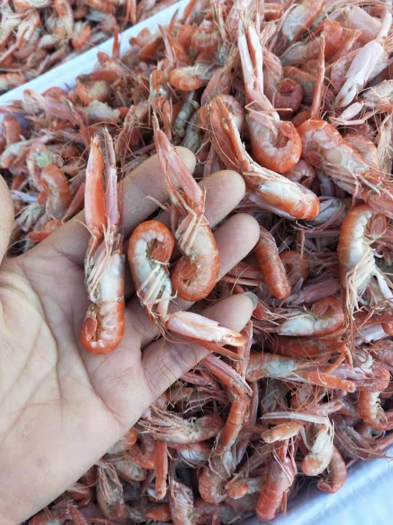 山东爪虾立虾狗虾活虾加工即食不咸对接各地网红电商超市
