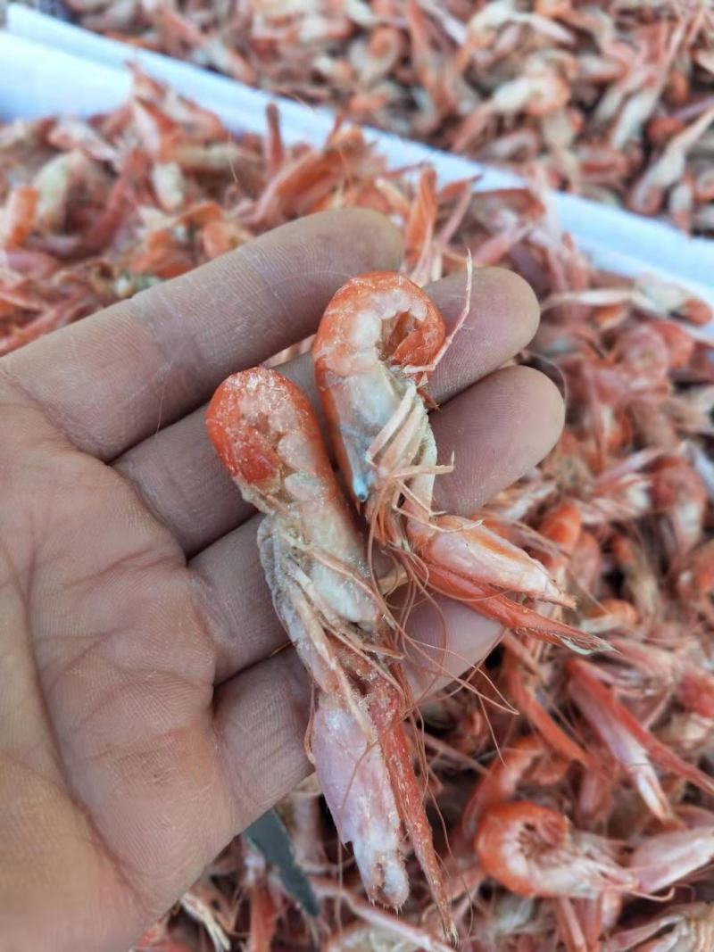 山东爪虾立虾狗虾活虾加工即食不咸对接各地网红电商超市