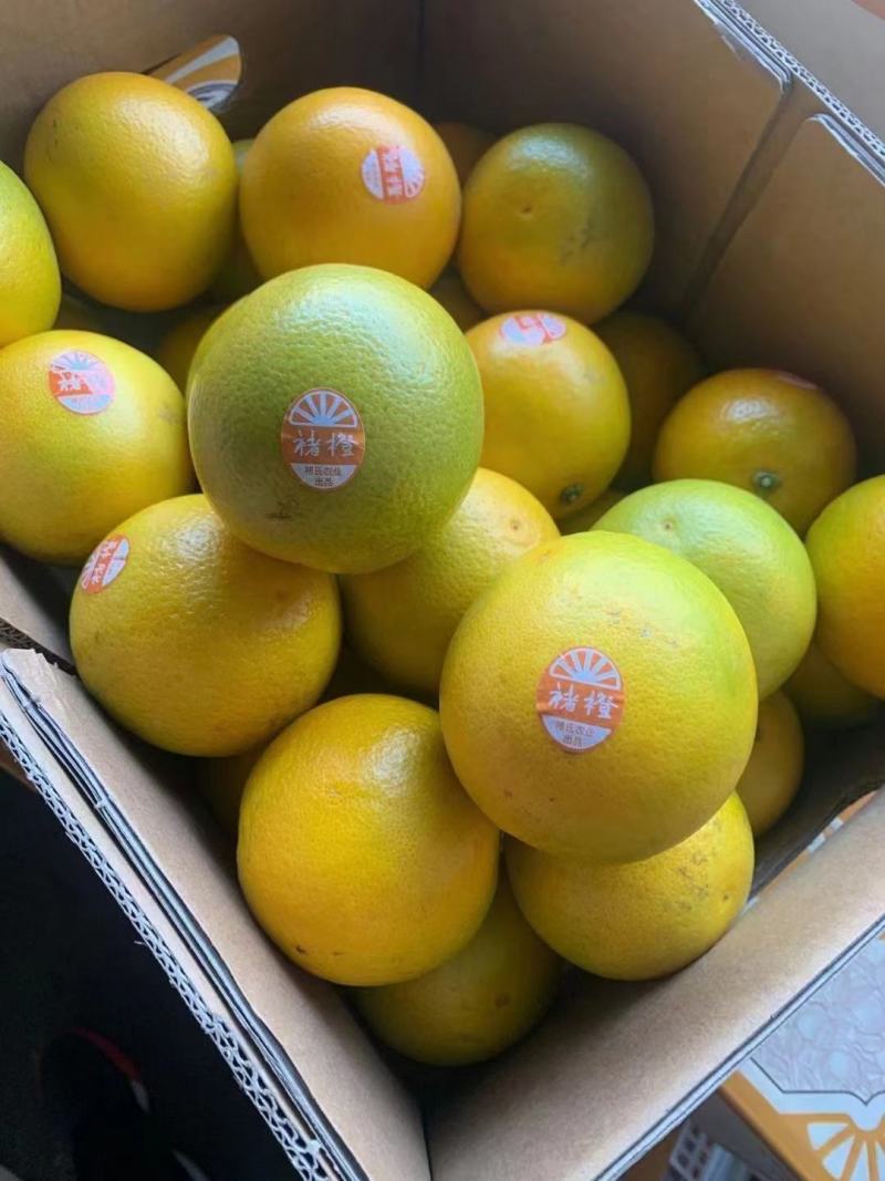 云南褚橙大品牌基地直销整车零担都可发货口感好