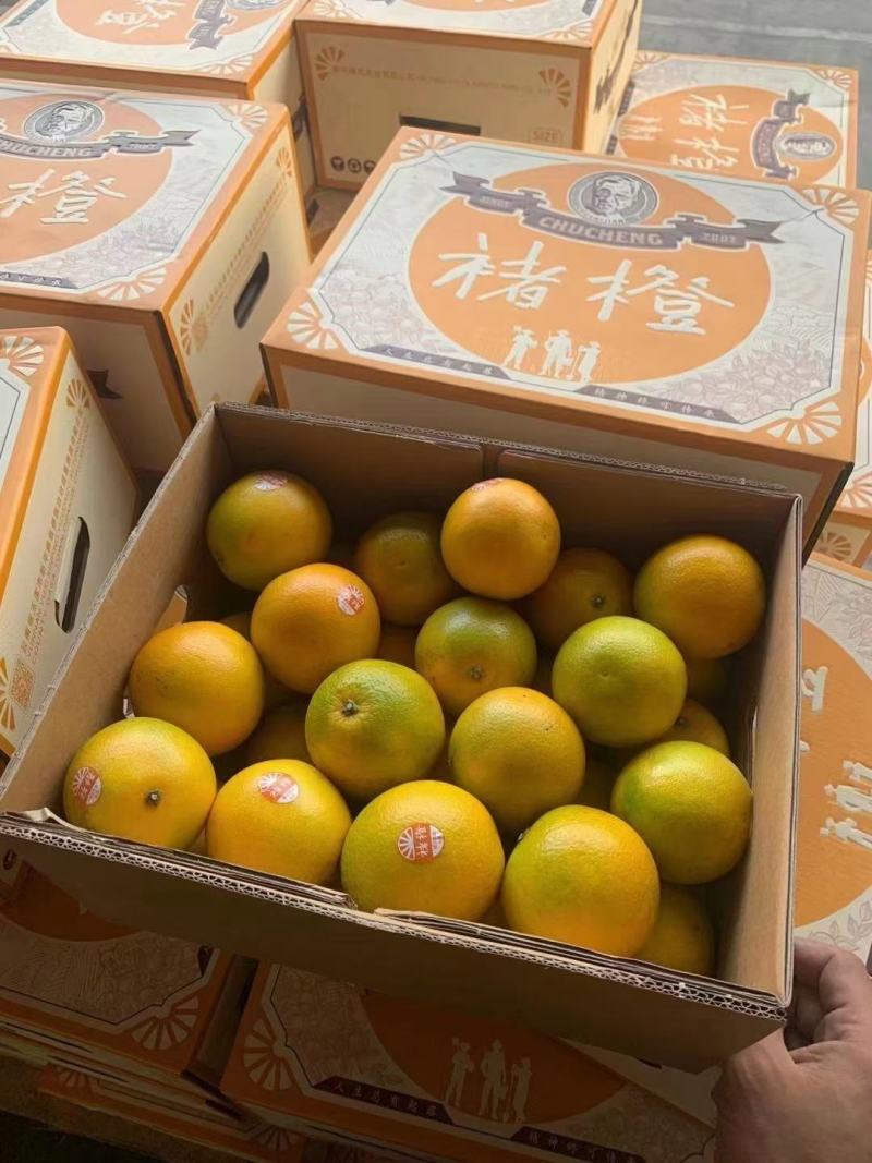 云南褚橙大品牌基地直销整车零担都可发货口感好