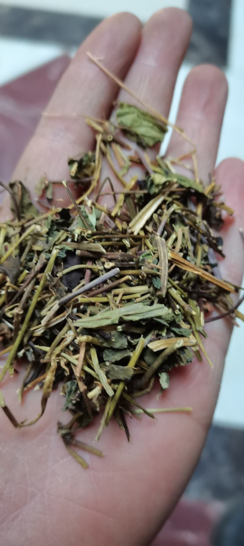 肺形草双蝴蝶穿藤金兰花铁交杯肺心草中草药