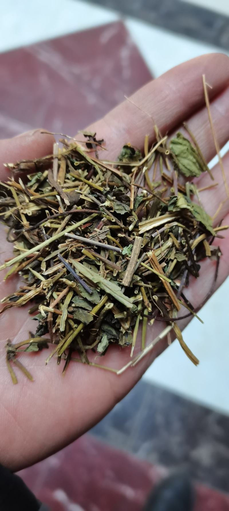 肺形草双蝴蝶穿藤金兰花铁交杯肺心草中草药