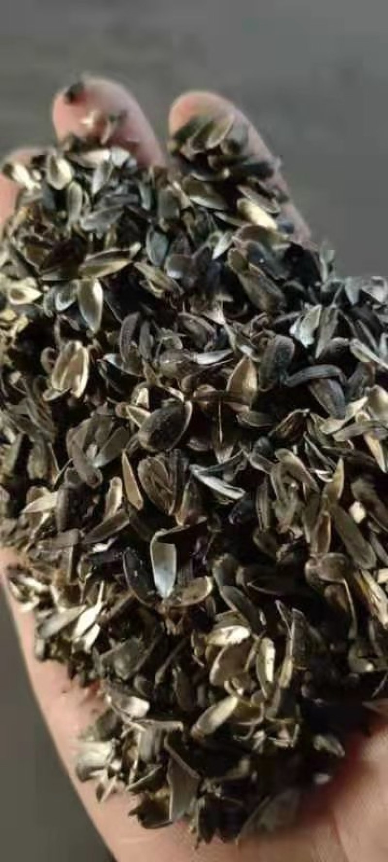 葵花壳粉，榨油油葵副产品，水份仅为7%，价格低