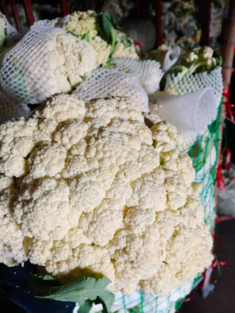 砀山花菜量大优惠，菜花新鲜蔬菜热销中