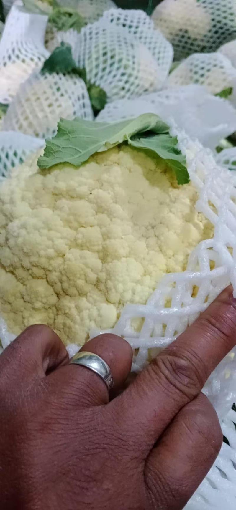 砀山花菜量大优惠，菜花新鲜蔬菜热销中