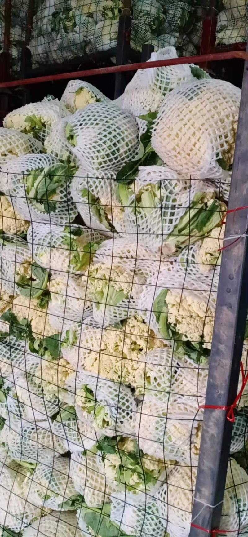 砀山花菜量大优惠，菜花新鲜蔬菜热销中