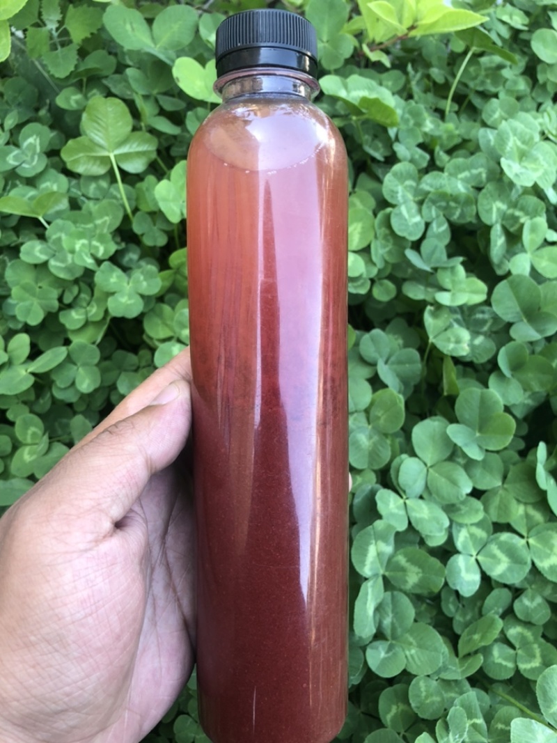 鹿茸血鹿茸血酒纯正正宗东北吉林长春鹿场直发纯正