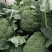 安阳市内黄县王保昌商行大量供应西兰花