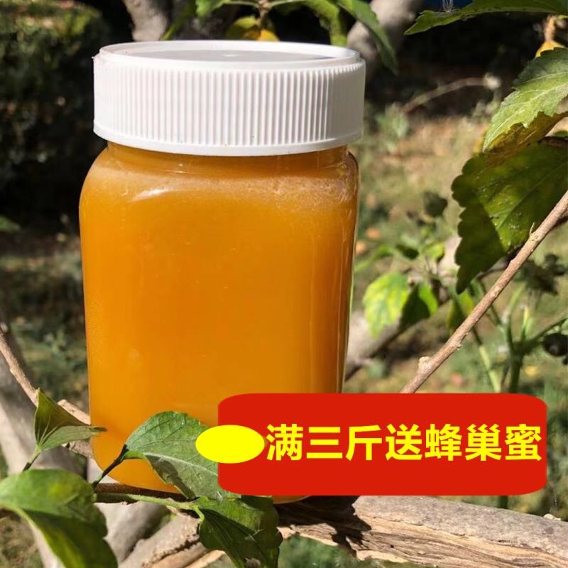 秦岭山脉土蜂蜜批发价了量大价优，一手货源敢比质量。农家