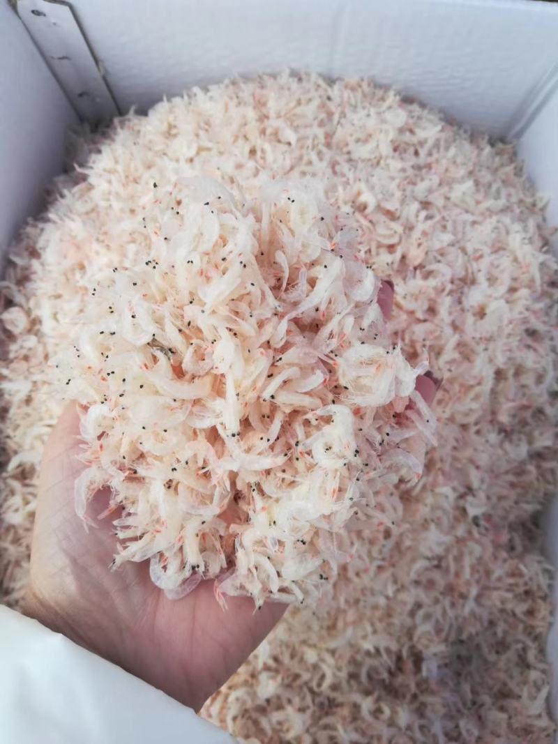 淡干无盐虾皮，多种规格可选！一箱10斤！大量现货！