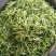 山东高含量金银花优质种苗