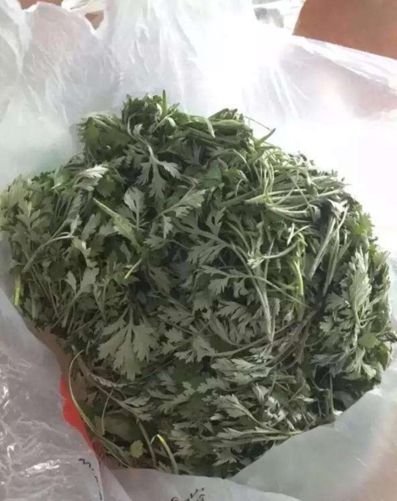 野生鲜艾叶(干)家乡纯野生艾草直销无农药无化肥污染