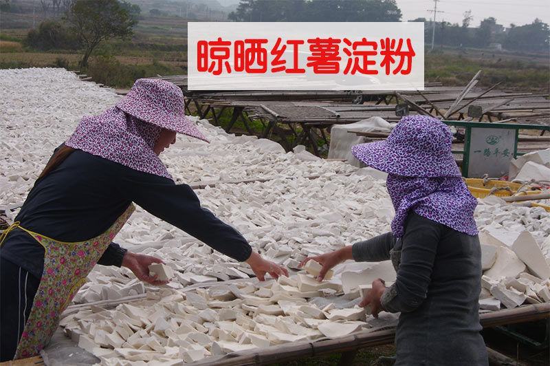 红薯粉条，山东沂蒙山正宗红薯粉条，纯手工制作产地直发