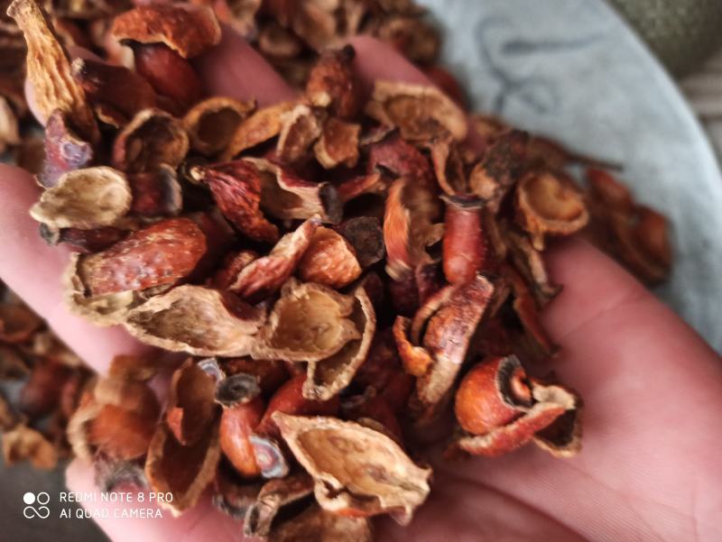 金樱子代打粉各种规格干货专业批发中药