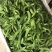横县荷兰豆豌豆荷兰豆