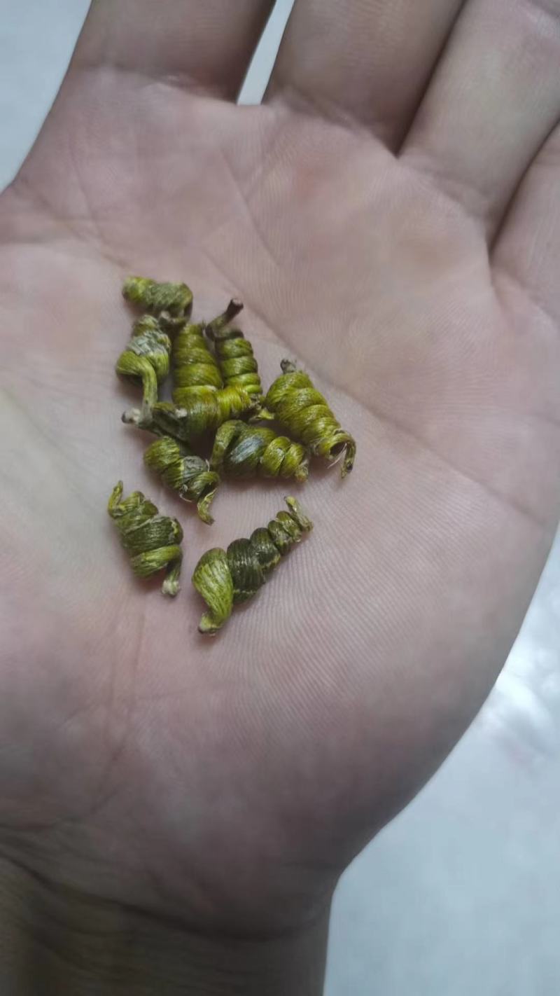 霍山米斛，霍山精品米斛，合作社自产自销，一件代发米斛