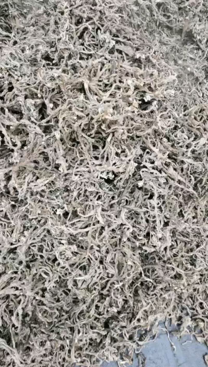 石昌浦，纯野生，货真价实，长期收购销售贵州本地中药材。
