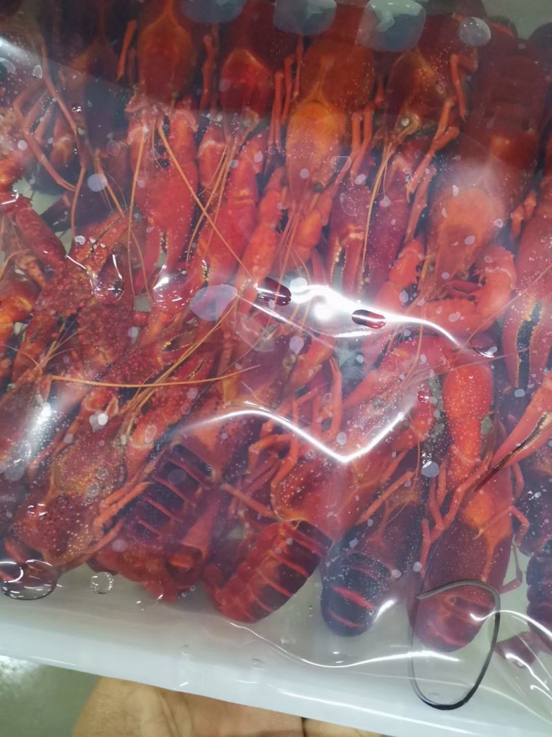 冻虾湖北潜江鲜活冻虾清水虾456-789硬规格肉质饱满