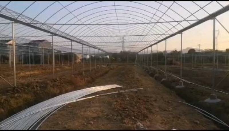 连栋种植基地专用大棚连体棚带天沟排水上门安装