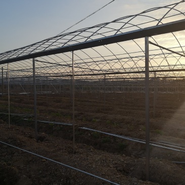 连栋种植基地专用大棚连体棚带天沟排水上门安装
