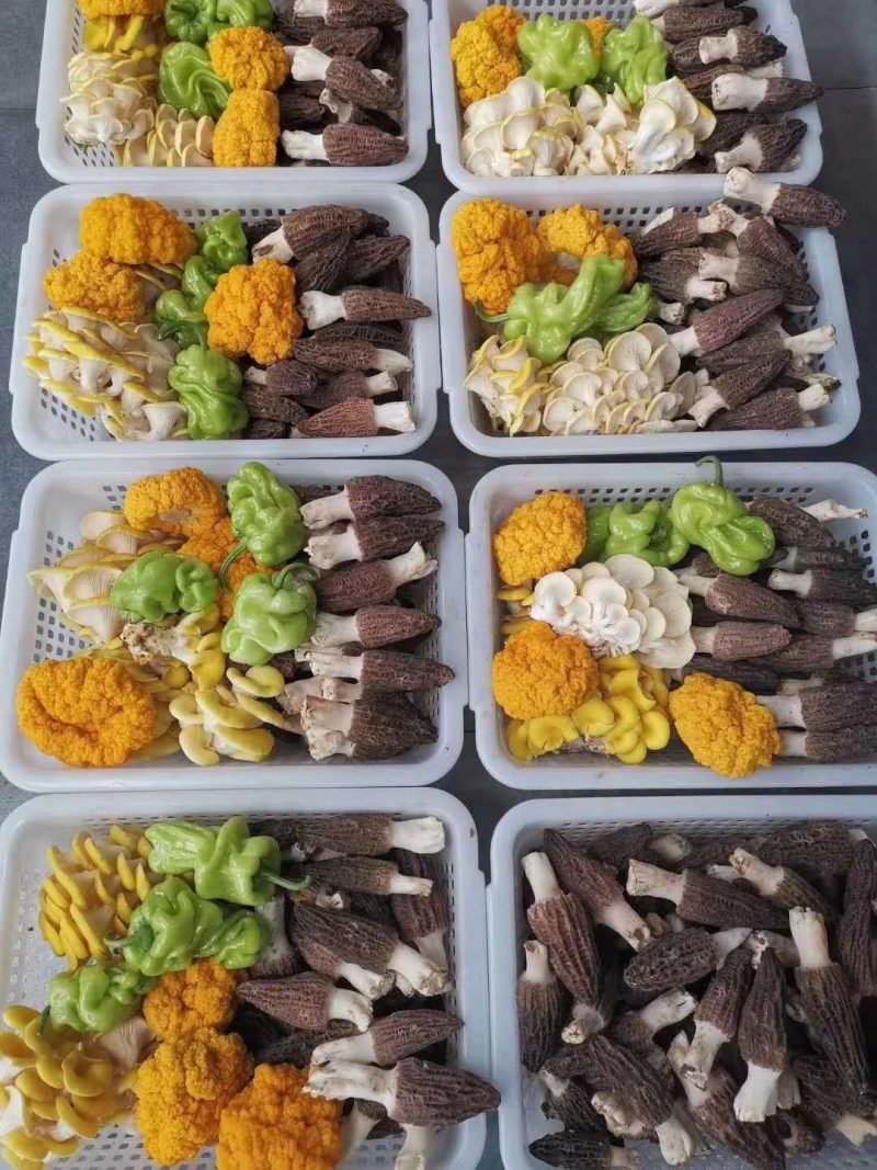 菌汤包一包够四五个人吃，一包能吃到不同的味道
