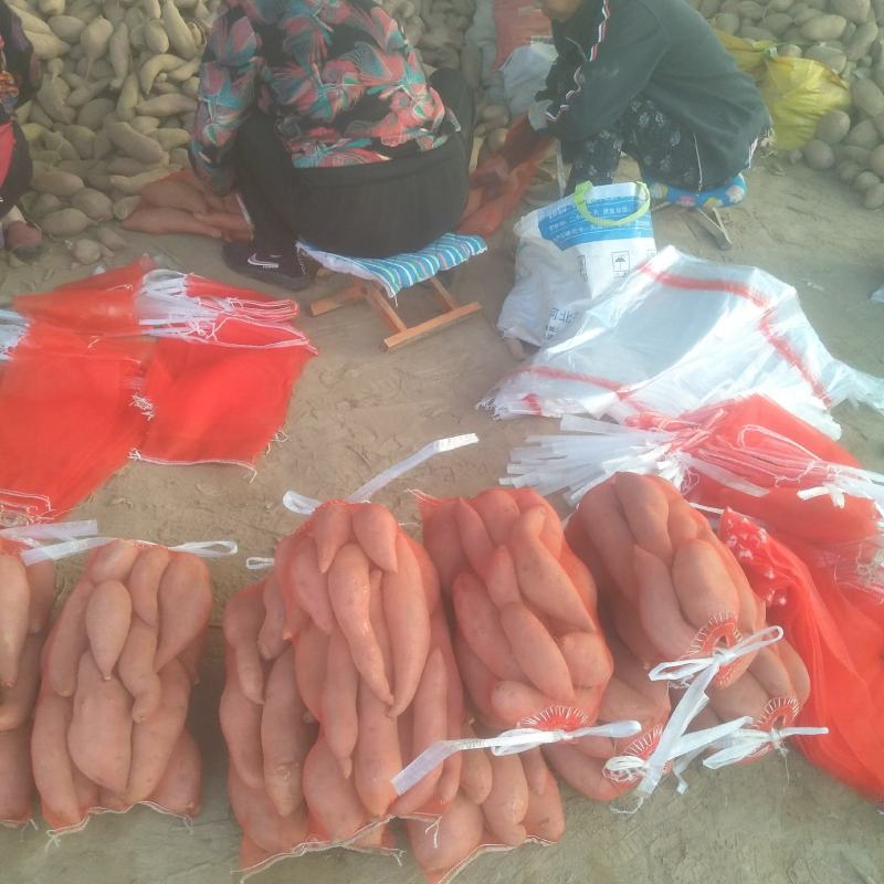 纯沙士地龙薯九红薯统货，支持各种包装，基地直批价格优惠