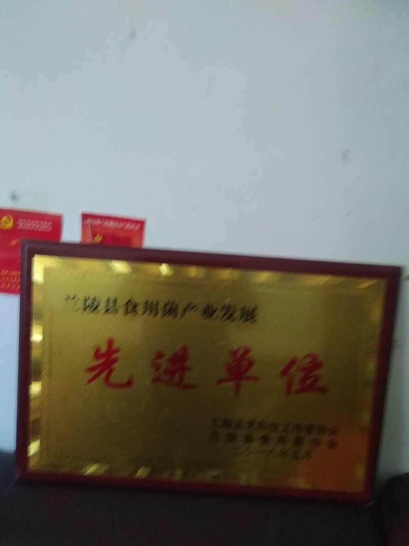 大量供应金针菇菌种，母种原种栽培种，量大从优发往全国