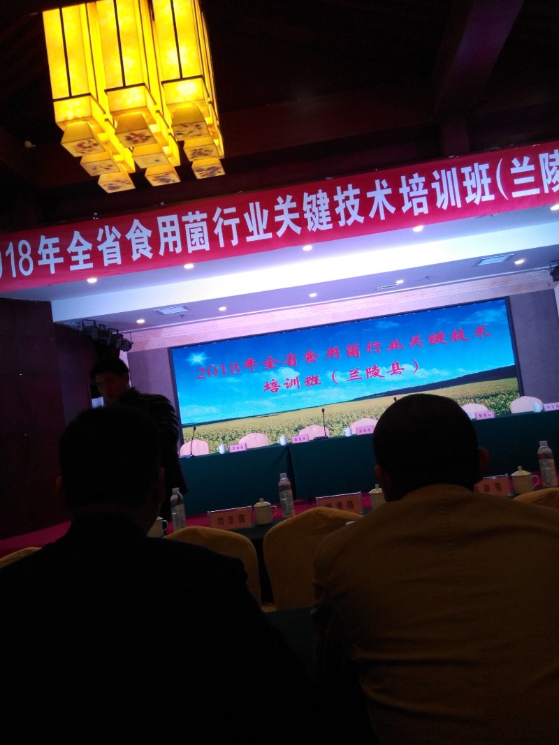 大量供应金针菇菌种，母种原种栽培种，量大从优发往全国