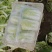 冬储精品娃娃菜，精品娃娃菜，