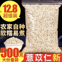 【薏苡仁】贵州大粒薏米仁500g五谷杂粮大小粒薏仁