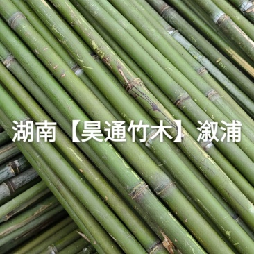 湘西雪峰山2.4米～2.5米菜架竹、竹竿、竹架条、白竹
